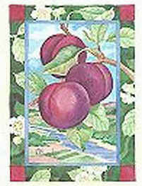 santa_rosa_plum-paul_brent-yes.jpg (18325 bytes)