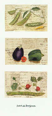 vegetable letters-isabelle de borchgrave-yes.jpg (8831 bytes)